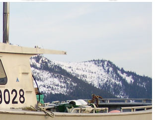 HOSTAR MARINE TRANSPORT SYSTEMS HOSTAR MARINE TRANSPORT SYSTEMS